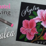 【Lesson.80】ツツジの花